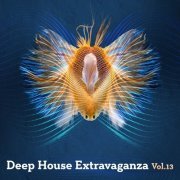 VA - Deep House Extravaganza, Vol.13 (2019)