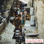 Eginhard Zellner - Congestion Alley (2025) [Hi-Res]