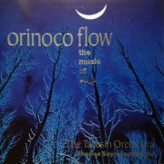 The Taliesin Orchestra - Orinoco Flow - The Music Of Enya (1996)