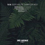 VA - Deep House Sampler 001 (2020) flac