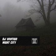 DJ Vantigo - Night City (2019) flac