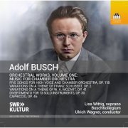 BuschKollegium, Ulrich Wagner, Lisa Wittig - Busch: Orchestral Works, Vol. 1 (Live) (2024) [Hi-Res]