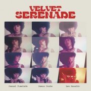 Pascal Comelade, Ramon Prats & Lee Ranaldo - Velvet Serenade (2023) Hi Res