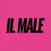 The Zen Circus - Il Male (2025) [Hi-Res]