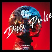 VA - Disco Pulse (2025)