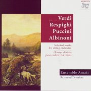 Ensemble Amati & Raymond Dessaints - Selected Works for String Orchestra (1995)