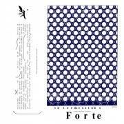 Forte - Intermissions (2019)