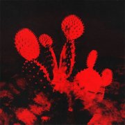 Beach Weather - Melt'd (deluxe) (2025) [Hi-Res]