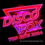 VA - Discofox Top Hits 2024 (2023)