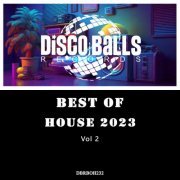 VA - Best Of House 2023, Vol. 2 (2024)