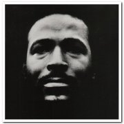 Marvin Gaye - Vulnerable (1997)