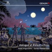 Ionel Ungureanu, Sandro Nebieridze - Dialogue of Distant Echoes (2025) [Hi-Res]