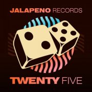 VA - Twenty Five (2025) [Hi-Res]