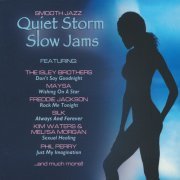 VA - Quiet Storm Slow Jams (2007)