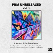 VA - PRM Unreleased Vol 2. - A Various Artist Compilation (2025)