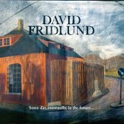 David Fridlund - Some Day, Eventually, in the Future (2010)