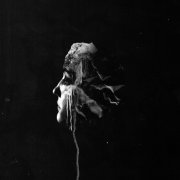 FVNERALS - The Light (2014) Lossless
