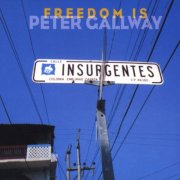 Peter Gallway - Freedom Is (2008)