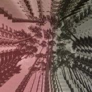 Liam Finn - The Howl (2025) [Hi-Res]