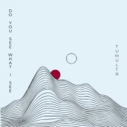 Tumultr - Do you see what I see (2025) [Hi-Res]