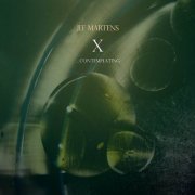 Jef Martens - X...contemplating (2023)