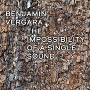 Benjamín Vergara - The Impossibility of a Single Sound (2023) Hi Res