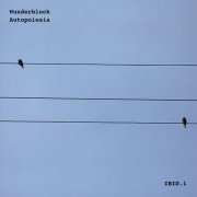 Wunderblock - Autopoiesis (2022)