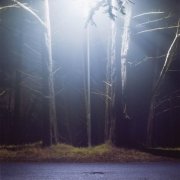LOVEMUSIC, Ben Roidl-Ward, Isidora Nojkovic, Grossman Ensemble & Mivos Quartet - David Bird: Hinterlands (2026) Hi-Res
