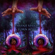 Nylist - Divine Vision Torn Apart (2022) Hi-Res