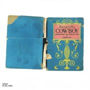 Trinity Ace - Learning to Be a Cowboy on the Horse That Broke My Arm (2026) [Hi-Res]