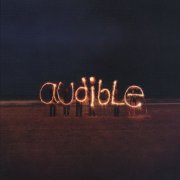 Audible - Sky Signal (2005) FLAC