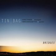 Tin/Bag - Bridges (2011)