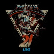 McFly - 21 Live (2025) [Hi-Res]