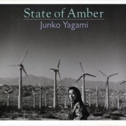 Junko Yagami - State of Amber (1991)