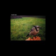 Elijah Wolf - track star (2026) [Hi-Res]