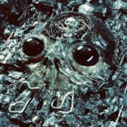 King Gizzard & The Lizard Wizard - Alien Metal (2026) [Hi-Res]