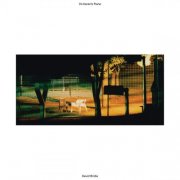 David Bridie - On Karen's Piano (2025) [Hi-Res]