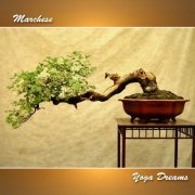 Marchese - Yoga Dreams (2014)