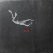 Low Island - bird (2025) Hi Res