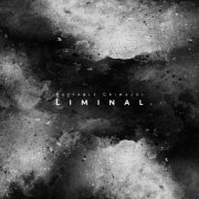 Raffaele Grimaldi - Liminal (2020)