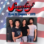 Sugarloaf - Alive In America (Remastered 2026) (1975)