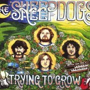 The Sheepdogs - Trying to Grow (2007)