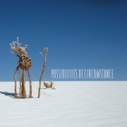 VA - Possibilities Of Circumstance (2013) [CD] FLAC