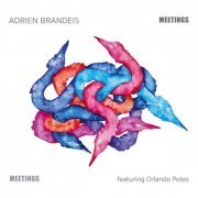 Adrien Brandeis - Meetings (2020) [Hi-Res]