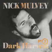 Nick Mulvey - Dark Harvest, Pt. 2 (2025) [Hi-Res]