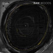 VA - Raw Moods, Vol. 2 (2025)