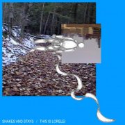 This is Lorelei - Shakes and Stays (2020) [Hi-Res]