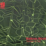 Walkner.Moestl - Heaven or Hell (2000)