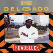 Junior Delgado - Roadblock (2025) [Hi-Res]