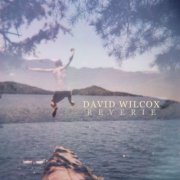 David Wilcox - Reverie (2010)